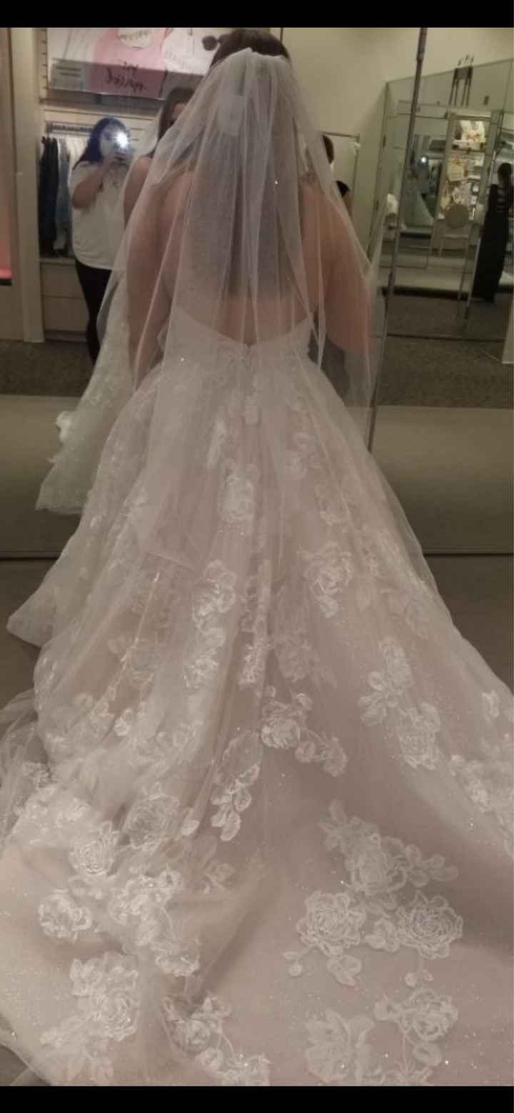 Veil or no veil to go with my dress? - 1