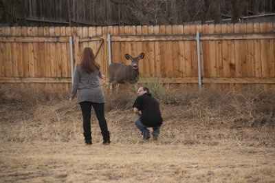 Engagement Pics! *PIC HEAVY*