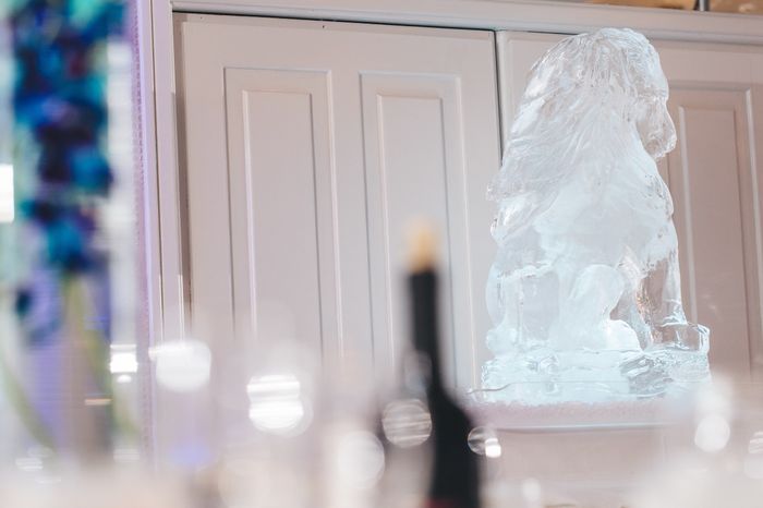 Pro-BAM & Video: GymRat’s Thursday Night, Long Island Wedding