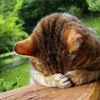 One year anniversary photo shoot