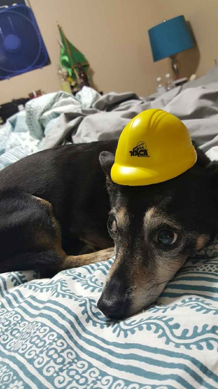 Just need to vent and cry a little