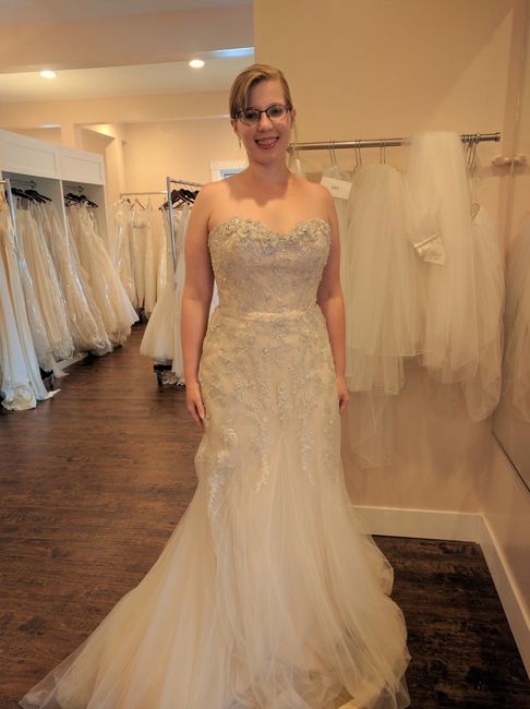 Dress Alterations Beginning