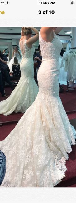  Should i Alter my dress!? - 3