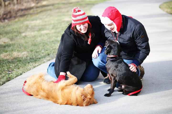 Having your pet in the engagement photos?