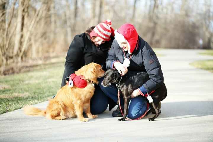 Winter Engagement Photos