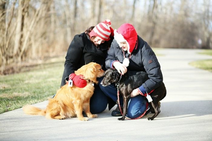 Engagement photos w/ or w/out pets