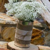 Anyone doing a rustic style? I need ideas for centerpieces please!