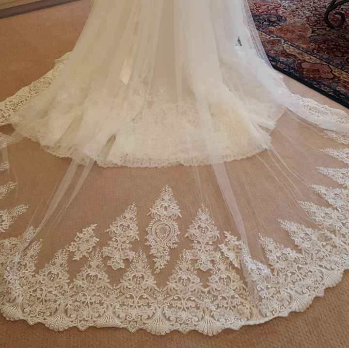 Busy weekend! (veil & dress updates!)