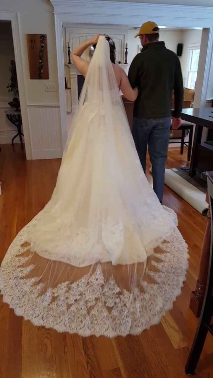 Busy weekend! (veil & dress updates!)
