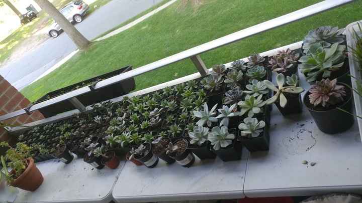 90% done with centerpiece diy!