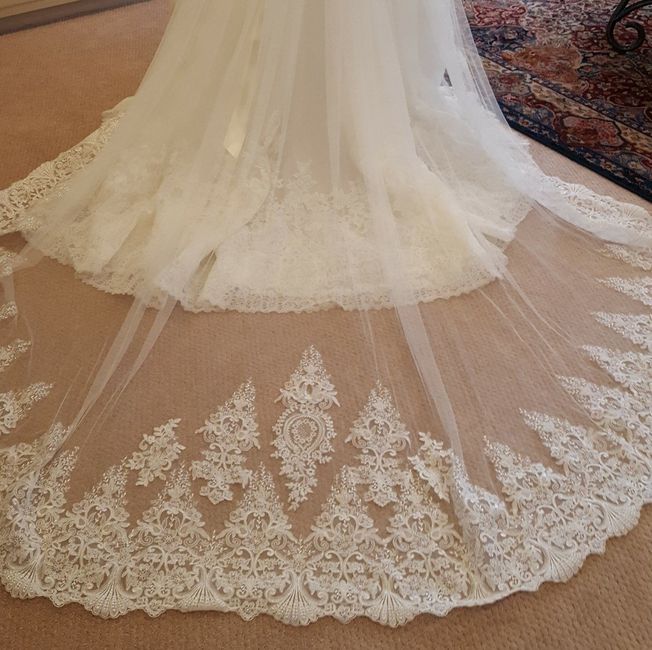 Let me see your veils!