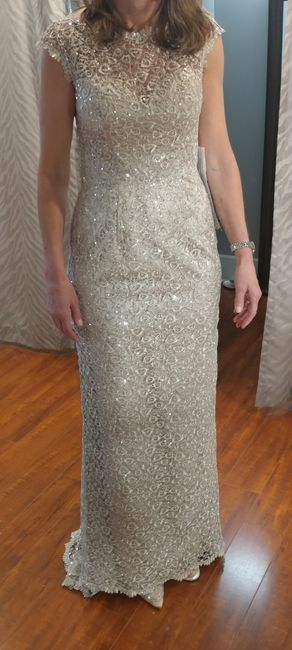 Mother of the bride gown inappropriate, am i wrong?