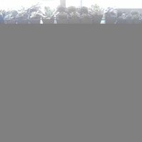 Update on the Succulent Growth! ( a guide to grow your own!)