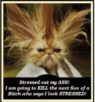 Stress Busters-Share Yours