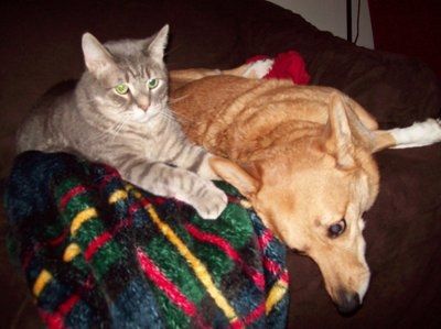 NWR: Furry Friends