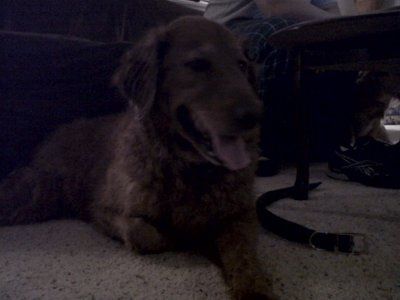 NWR-We might have a new family member