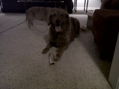 NWR-We might have a new family member