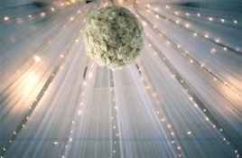 Tulle/Reception Decoration Advice Needed