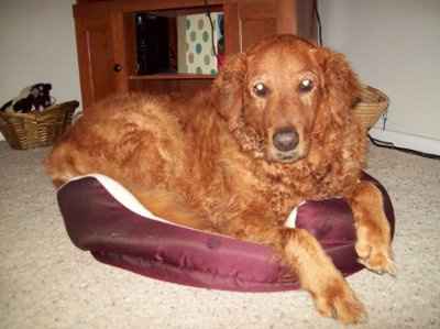 NWR-We might have a new family member