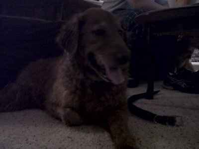 NWR-We might have a new family member