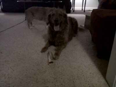 NWR-We might have a new family member