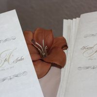 DIY programs...still on the fence