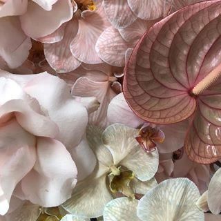 Share your wedding vision!!✨ 16