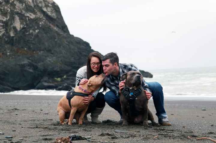 Show me your engagement photos! - 1
