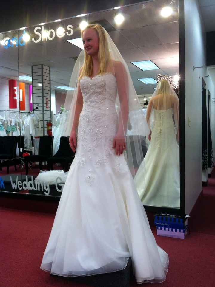 I said YES to the dress (pics)