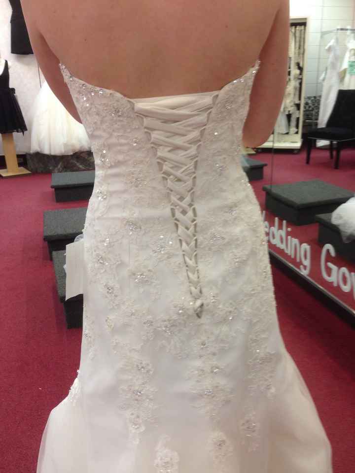 I said YES to the dress (pics)