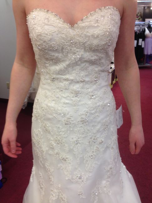 I said YES to the dress (pics)