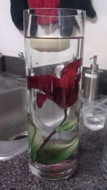 Sometimes DIY aint worth it!