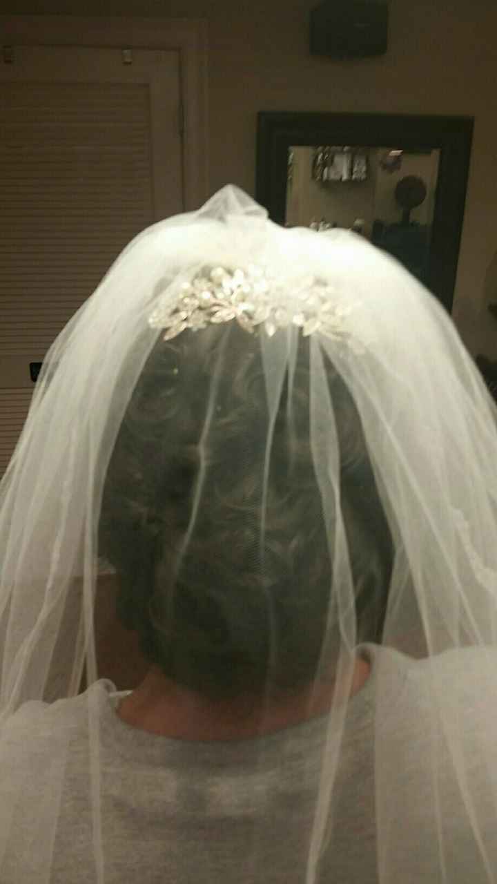 Updo hairstyles with veil (POST YOURS HERE)