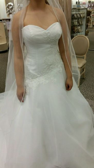 Dress alterations?