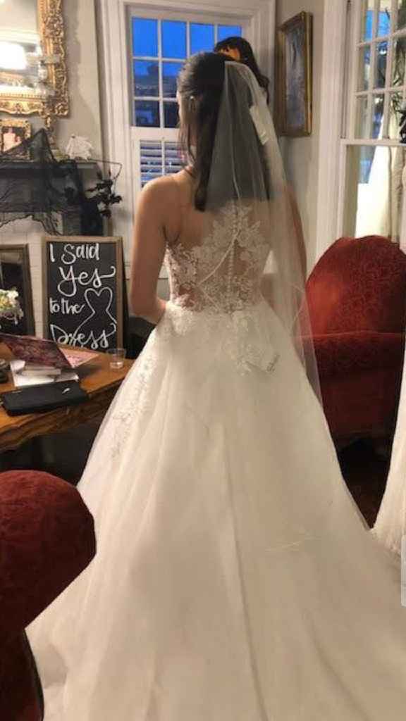 It's Time for a WW Bridal Fashion Show!!! - 3