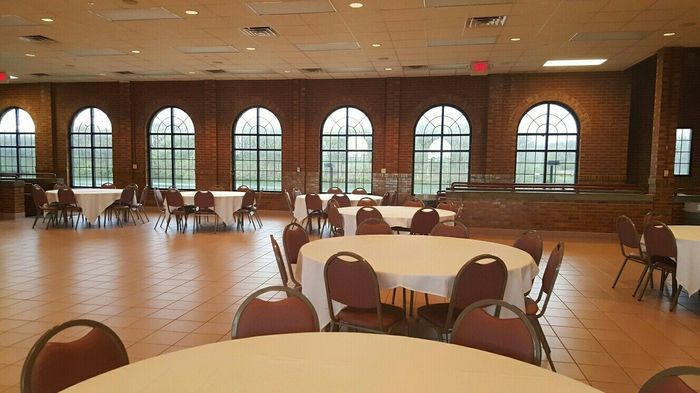 Opinions on chair covers vs these chairs