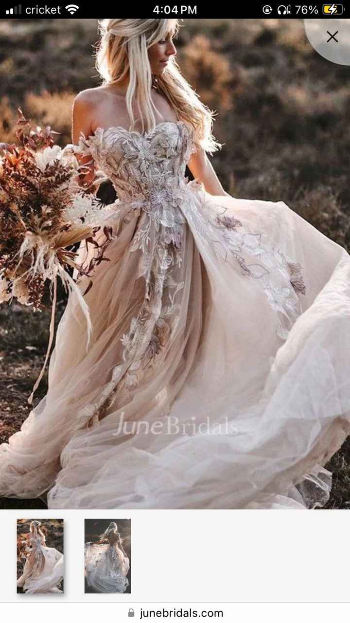 Can’t find the dress i fell in love with - 1