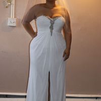 Any size 12/14 brides care to share?