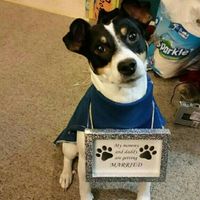 Show me your fur babies!