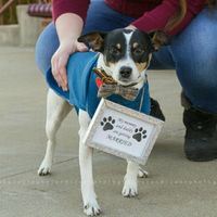 NWR: Worst. Day. Ever. Upate