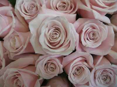 Found amazing BM dress but need some help!!