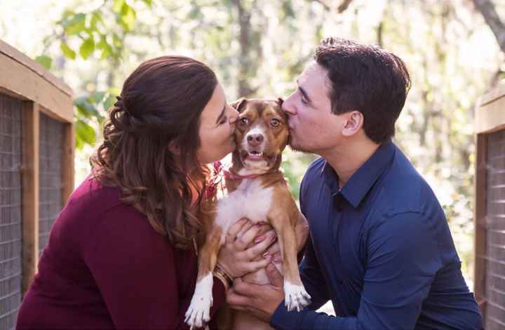 Show me your engagement photos! - 2