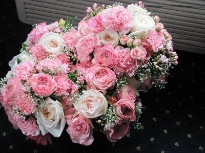 Want to see flowers!!!