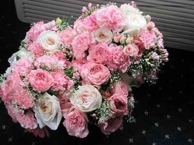 Want to see flowers!!!