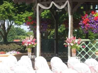 Want to see flowers!!!