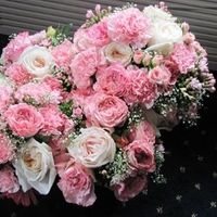 Want to see flowers!!!