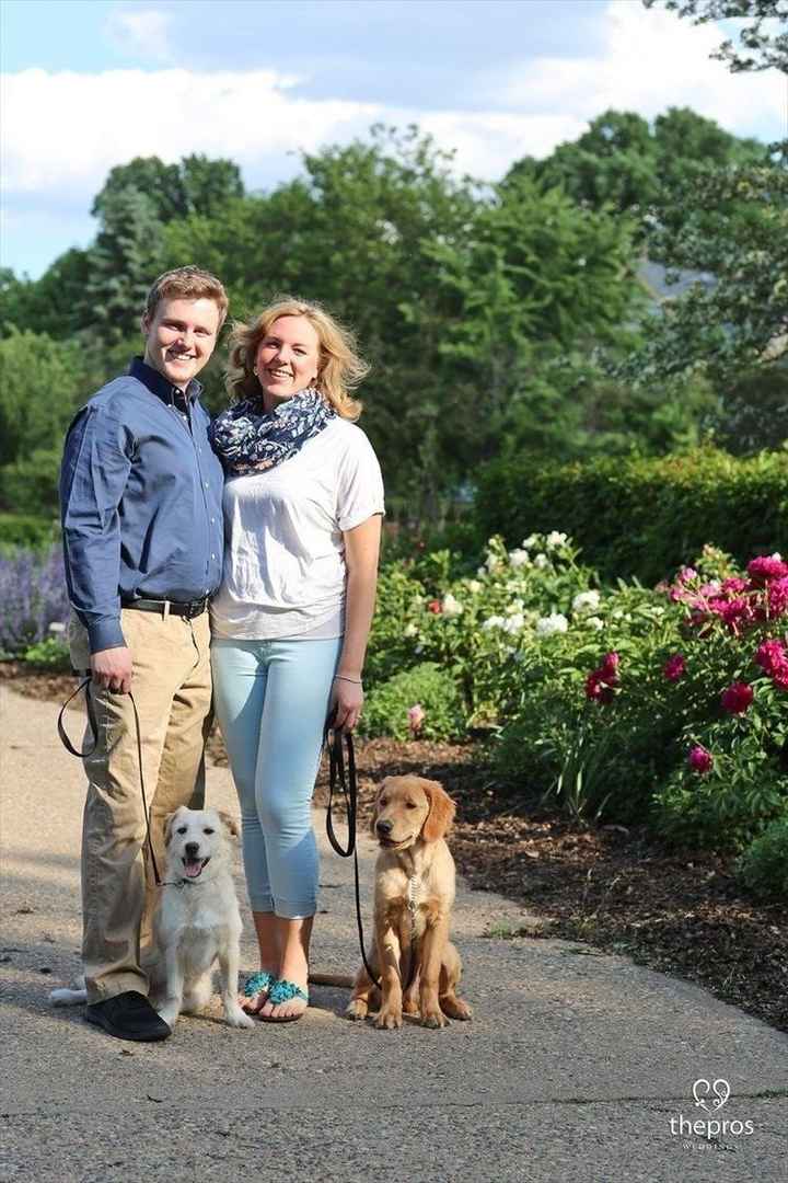 Engagement Photos are back!!