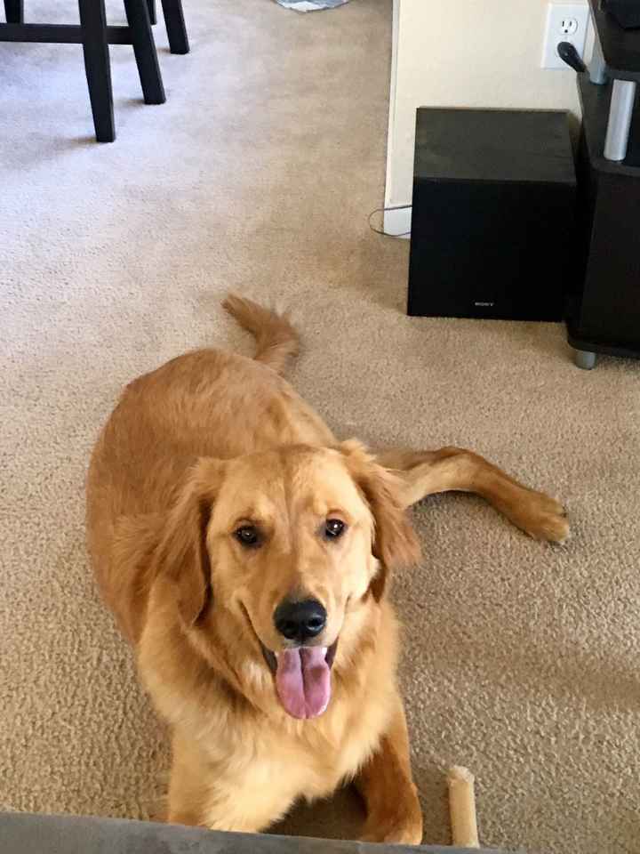 NWR feeling down: send happy pictures