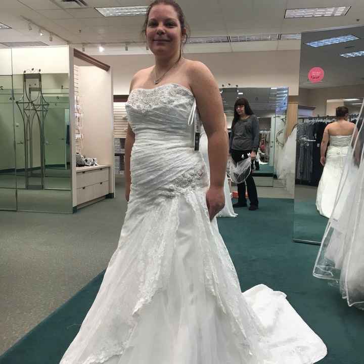 i said yes to the dress! - 1