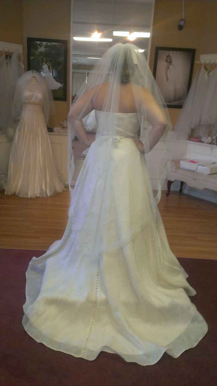 wedding dress! (with pictures) :)